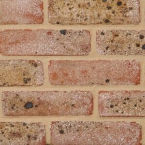Michelmersh Linfield Yellow Multi Facing Brick 65mm | Pack of 400