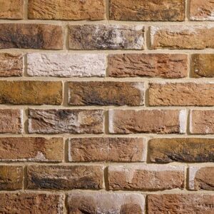 Traditional Brick & Stone Belgravia Tigra Multi Facing Brick 65mm | Pack of 608
