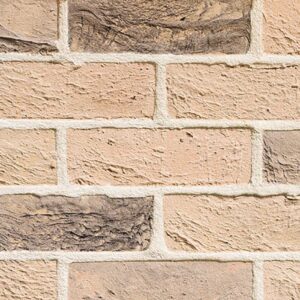 Traditional Brick & Stone Ickworth Multi Facing Brick 65mm | Pack of 730
