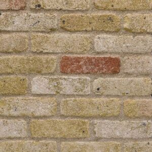 Wienerberger Smeed Dean Greenwich Yellow Multi Rustica Facing Brick 65mm | Pack of 400